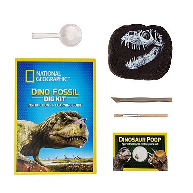 National Geographic Dino Fossil Dig Kit