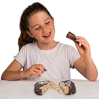 National Geographic Dino Fossil Dig Kit