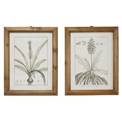 Stella & Eve Framed Botanical Wall Art 2-Piece Set