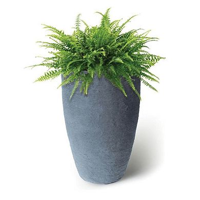 Algreen 87301 Athena 20.5 x 12.6 Self Watering Planter, Charcoalstone (2 Pack)