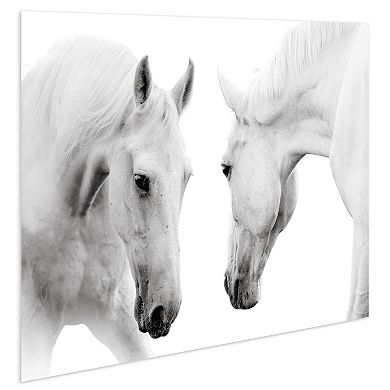 Empire Art Direct Reflection Horse Glass Wall Art