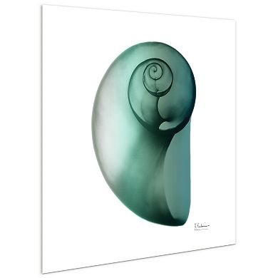Empire Art Direct Shimmering Snail II Glass Wall Art
