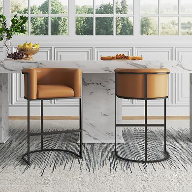 MANHATTAN COMFORT Cosmopolitan Bar Stool 2-piece Set