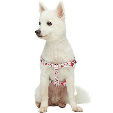 Blueberry Pet Cherry Garden Dog Harness