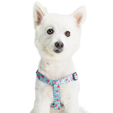 Blueberry Pet Garden Floral Dog Harness