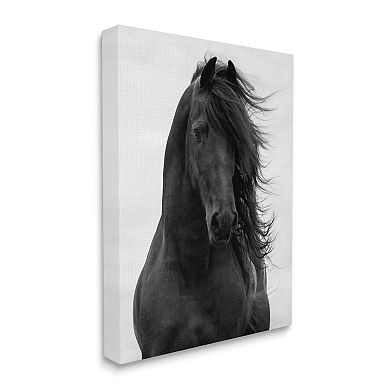 Stupell Home Decor Black Stallion Horse Portrait Canvas Art