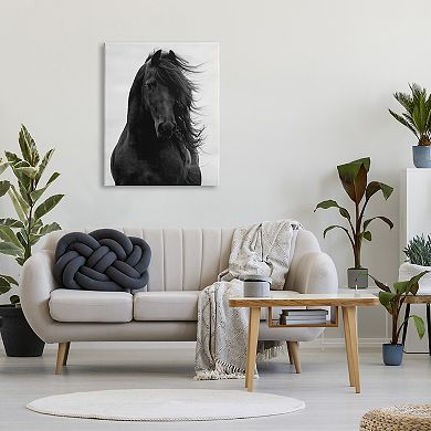 Stupell Home Decor Black Stallion Horse Portrait Canvas Art