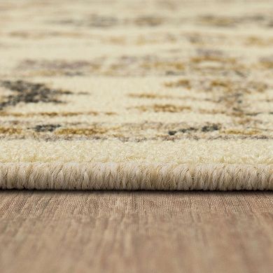 Mohawk® Home Meshach Rug