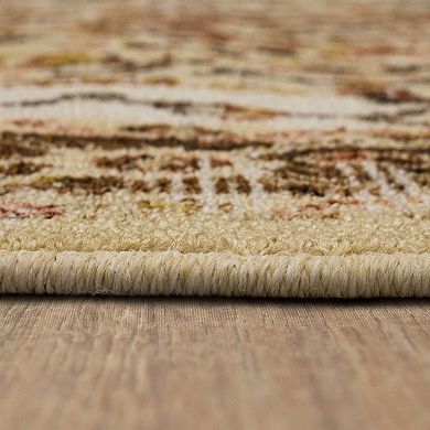 Mohawk® Home Bhaskar Rug