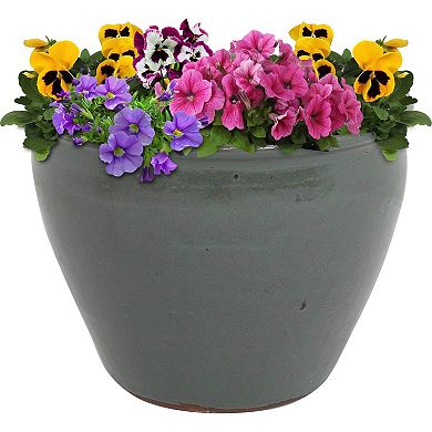 Sunnydaze Resort Indoor/Outdoor Glazed Ceramic Planter - 13"