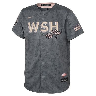 Youth Nike Gray Washington Nationals 2022 City Connect Replica Jersey