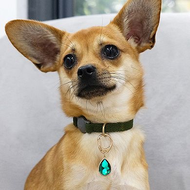 Blueberry Pet Flower & Green Teardrop Charm Dog Collar Accessory Set