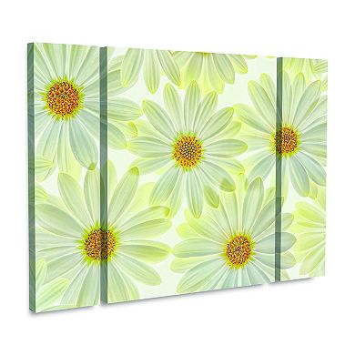 Daisy Flowers Canvas Wall Art 3-piece Set