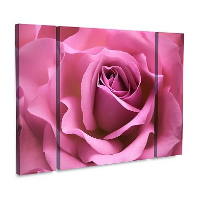 Misty Pink Rose Canvas Wall Art 3-piece Set
