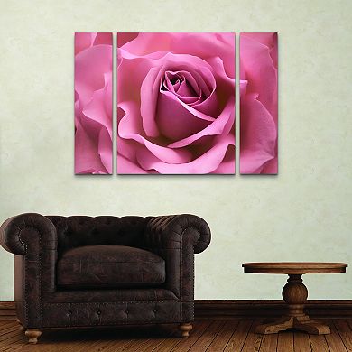 Misty Pink Rose Canvas Wall Art 3-piece Set