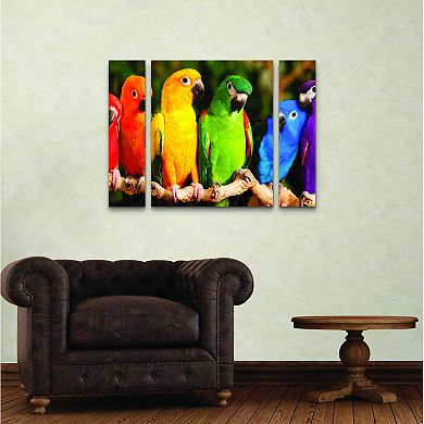 Rainbow Parrots Canvas Wall Art 3-piece Set