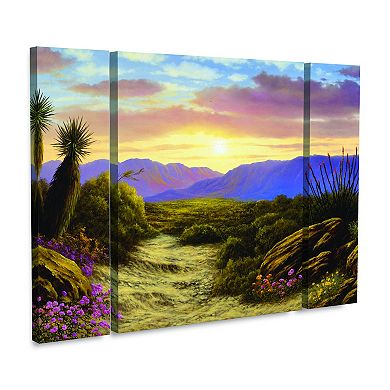 Trademark Fine Art Anthony Casay Desert Scene 3-piece Multi Panel Art Set