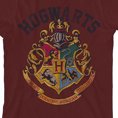 Boys 8-20 Harry Potter Hogwarts Graphic Tee