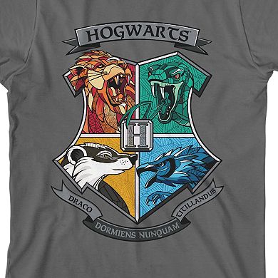 Boys 8-20 Harry Potter Hogwarts School Graphic Tee