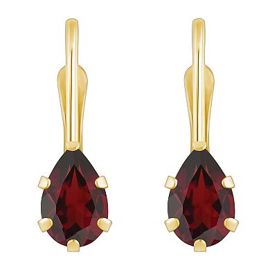 Celebration Gems 10k Gold Pear Shape Garnet Leverback Earrings