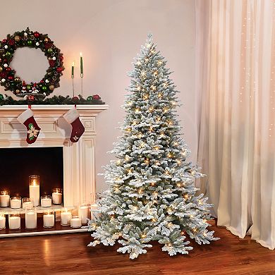Puleo International 6.5-ft. Pre-Lit Flocked Royal Majestic Douglas Fir Downswept Artificial Christmas Tree