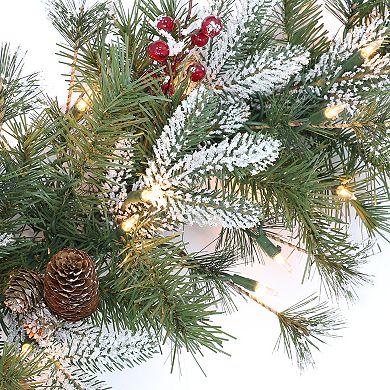 PULEO INTERNATIONAL Pre-Lit Glittery Pine Cones & Berries Artificial Christmas Wreath