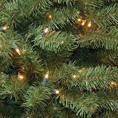 National Tree Company 9-ft. LED North Valley Spruce Artificial Christmas Tree