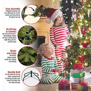 National Tree Company 9-ft. LED North Valley Spruce Artificial Christmas Tree