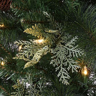 National Tree Company 5-ft. LED Buzzard Pine Entrance Artificial Christmas Tree