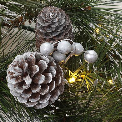 National Tree Company LED Whitter Pine Artificial Wreath