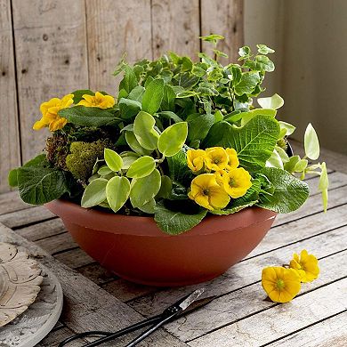 The Hc Companies Gab18000e21c006lrtox 18 Inch Garden Bowl Planter, Chocolate