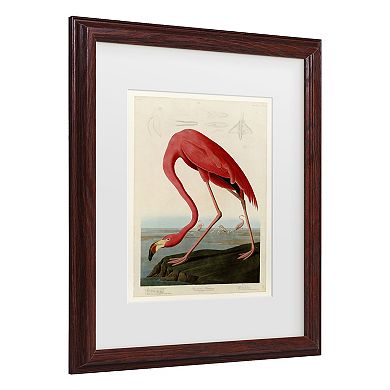 American Flamingo Framed Wall Art