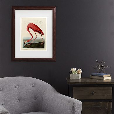 American Flamingo Framed Wall Art