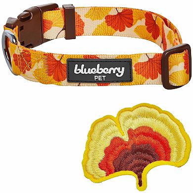 Blueberry Pet Fall Ginkgo Biloba Leaf Dog Collar with Detachable Deco