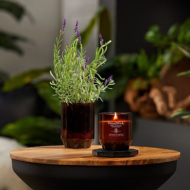 WoodWick® ReNew Lavender & Cypress Medium Jar Candle
