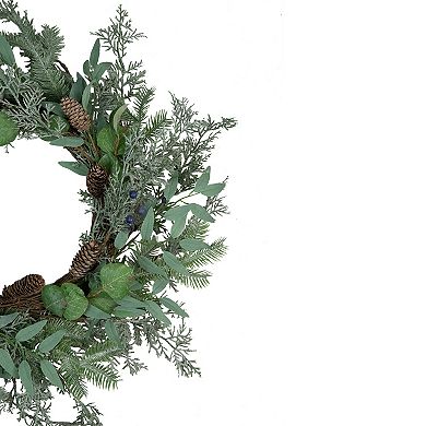 Frosted Green Mixed Foliage and Blueberries Artificial Christmas Wreath  26-Inch  Unlit