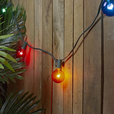 10 Multi-Color Transparent G40 Globe Christmas Lights - 9' Green Wire