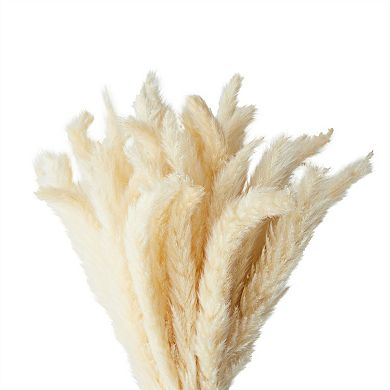 Ivory Natural Dried Pampas Grass with Ceramic Vase, 40 Bundles (16 Inches)