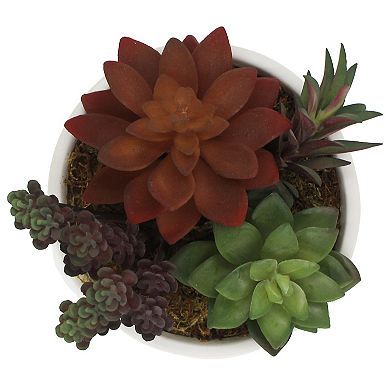 Sonoma Goods For Life Red Succulent Table Decor