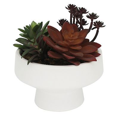 Sonoma Goods For Life Red Succulent Table Decor