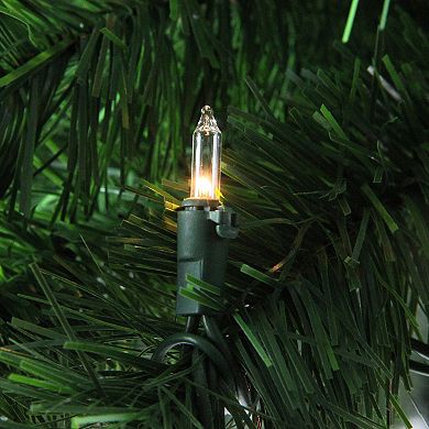 6' Pre-Lit Tropical Palm Tree Artificial Christmas Tree - Clear Lights