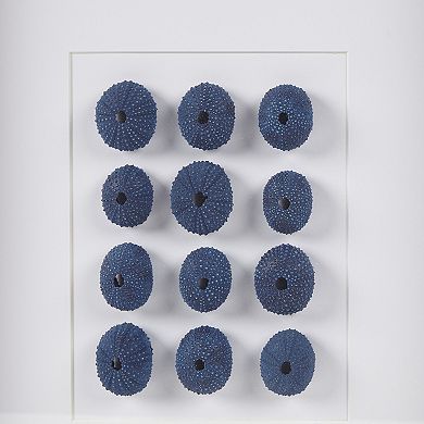 Martha Stewart Indigo Sea Urchin Shell Framed Shadowbox Wall Decor