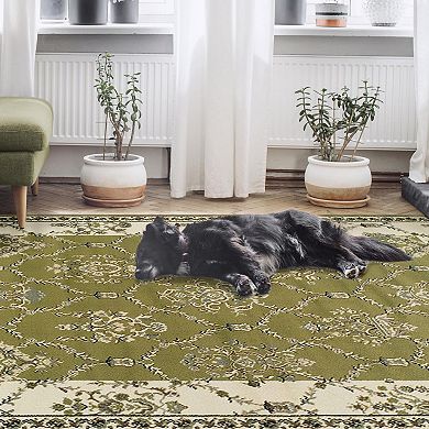 SUPERIOR Stratton Traditional Floral and Vines Indoor Area Rug