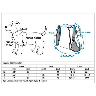 Blueberry Pet Zesty Fruit Dog Harness Vest