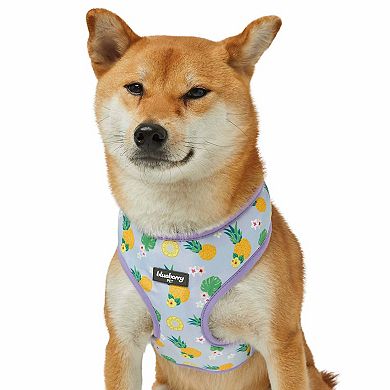 Blueberry Pet Zesty Fruit Dog Harness Vest