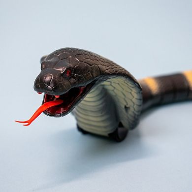 Remote Control Snake Toy for Kids