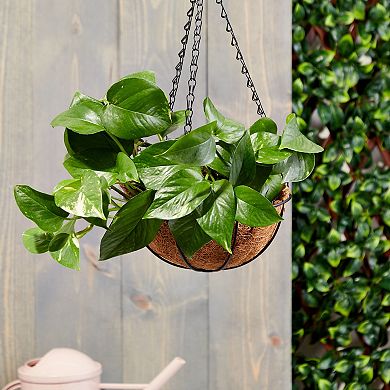 Black Metal Hanging Planter Basket with Coco Liners (8 x 17.5 In, 2 Pack)