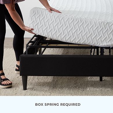 Dream Collection Tufted Platform Bed