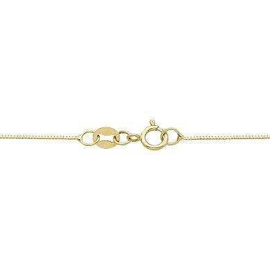 Theia Sky 14k Gold 0.45 mm Box Chain Necklace