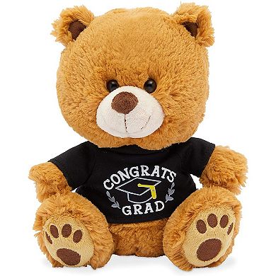 Graduation Bear, 2022 Congrats Grad Plush Gift for College, High School (10 In)